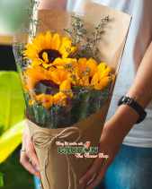 Hoa Sinh Viên - belovedbeyond.com