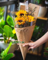 Hoa Sinh Viên - belovedbeyond.com