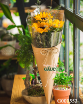 Hoa Sinh Viên - belovedbeyond.com