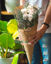 Hoa Sinh Viên - belovedbeyond.com