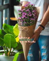 Hoa Sinh Viên - belovedbeyond.com