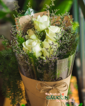 Hoa Sinh Viên - belovedbeyond.com