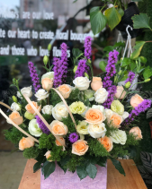 G000095 - belovedbeyond.com