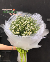 Hoa Sinh Nhật - belovedbeyond.com