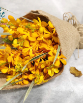 Hoa Sinh Nhật - belovedbeyond.com