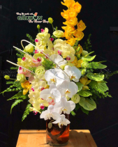 Hoa Sinh Nhật - belovedbeyond.com
