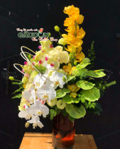 Hoa Sinh Nhật - belovedbeyond.com