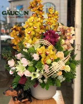 G000868 - belovedbeyond.com