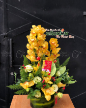 G000870 - belovedbeyond.com