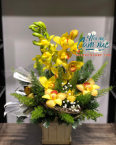 G000873 - belovedbeyond.com