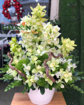 G000876 - belovedbeyond.com