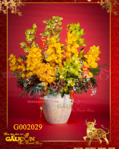 G002029 - belovedbeyond.com