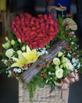 G000091 - belovedbeyond.com