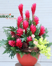 G000141 - belovedbeyond.com