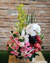 G000366 - belovedbeyond.com