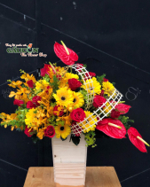 Hoa Sinh Nhật - belovedbeyond.com