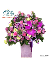 Hoa Sinh Nhật - belovedbeyond.com