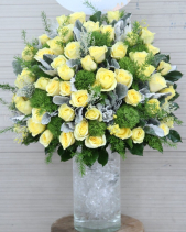 G000137 - belovedbeyond.com