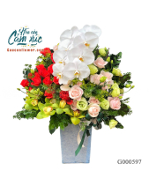 Hoa Sinh Nhật - belovedbeyond.com