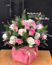 G000704 - belovedbeyond.com