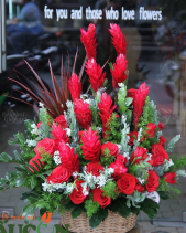 G000068 - belovedbeyond.com