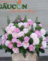 G000069 - belovedbeyond.com