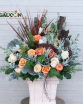 G000078 - belovedbeyond.com