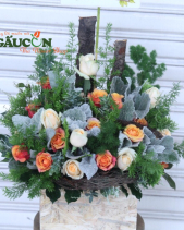 G000080 - belovedbeyond.com