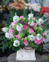 G000081 - belovedbeyond.com