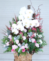 G000082 - belovedbeyond.com