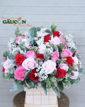 G000083 - belovedbeyond.com