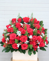 G000084 - belovedbeyond.com