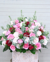 G000087 - belovedbeyond.com