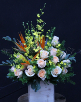 G000088 - belovedbeyond.com