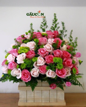 G000089 - belovedbeyond.com