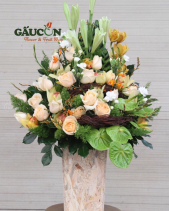 G000111 - belovedbeyond.com