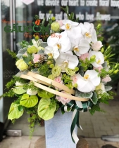G000114 - belovedbeyond.com