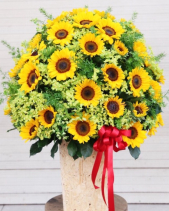 G000118 - belovedbeyond.com