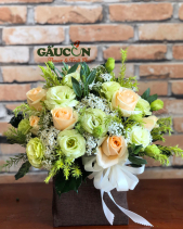 G000123 - belovedbeyond.com