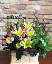 G000124 - belovedbeyond.com