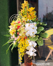 G000159 - belovedbeyond.com