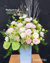 Hoa Sinh Nhật - belovedbeyond.com