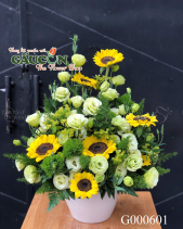 Hoa Sinh Nhật - belovedbeyond.com