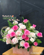 Hoa Sinh Nhật - belovedbeyond.com