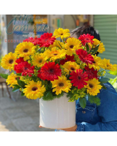 Hoa Đồng Tiền - belovedbeyond.com