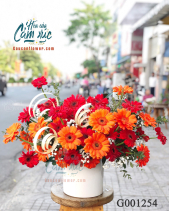 Hoa Đồng Tiền - belovedbeyond.com