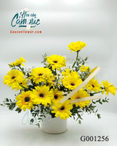 Hoa Đồng Tiền - belovedbeyond.com