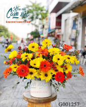 Hoa Đồng Tiền - belovedbeyond.com