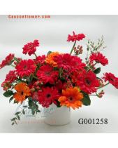 Hoa Đồng Tiền - belovedbeyond.com