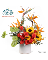 G001288 - belovedbeyond.com